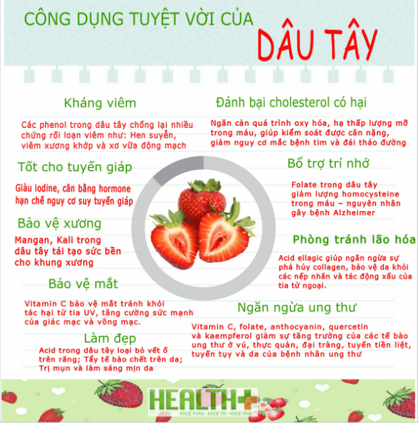 http://phucthao.com/images/products/dautay/large/cong-dung-dau-tay.jpg